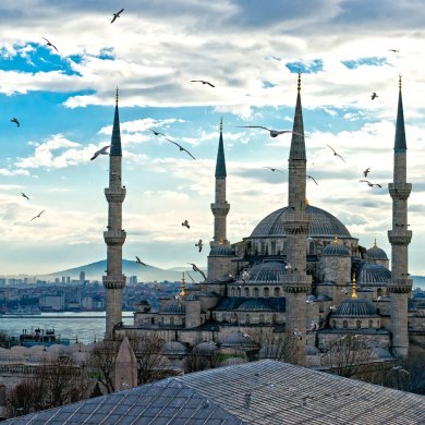 Marketing Consulting in Turkey